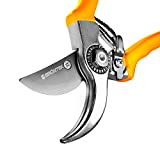 GRÜNTEK Gartenschere Obstschere SPECHT 215 mm Bypass Rebschere. Bequeme Comfort Baum-Pflanzenschere mit GELD-ZURÜCK-GARANTIE 90 Tagen!